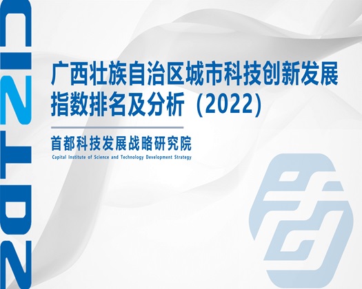 啊啊啊不要喷水视频下载【成果发布】广西壮族自治区城市科技创新发展指数排名及分析（2022）